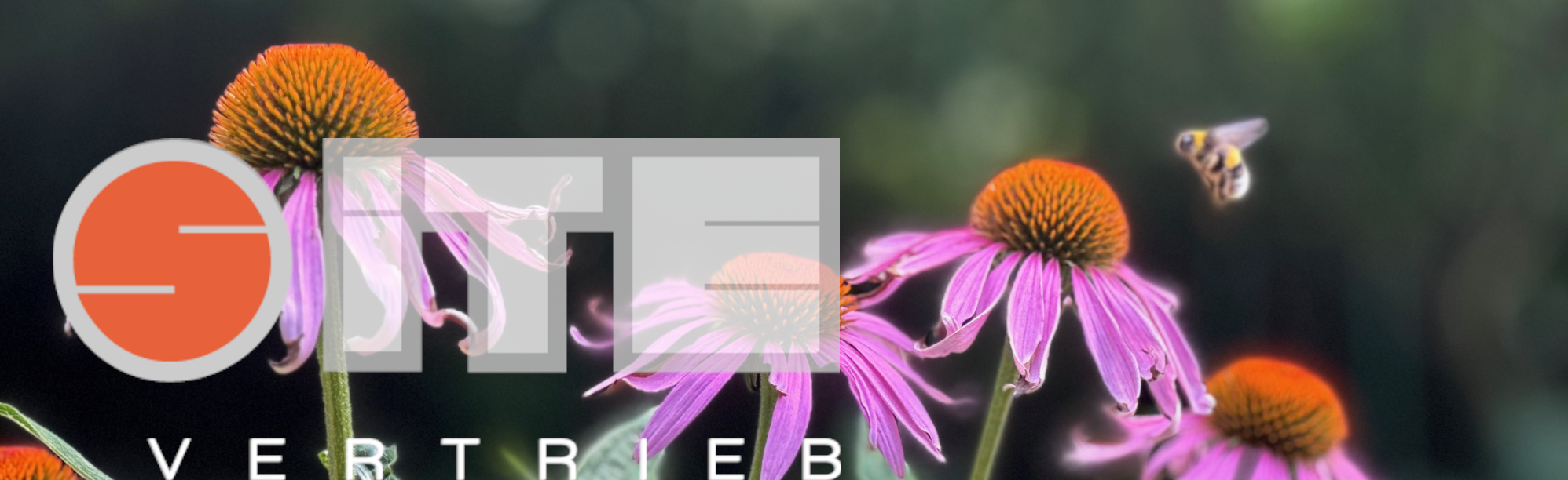 Sitevertrieb . WEB  . PRINT  . LOGO 